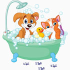 Щенок и котенок моются в ванне с пеной