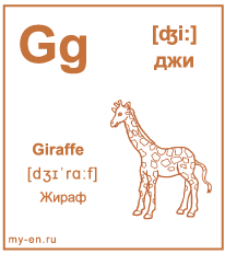 Карточка с буквой - Gg, словом - giraffe, транскрипцией и картинкой жирафа