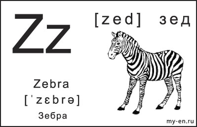 Чернобелая карточка с буквой - z
