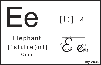 Карточка 14×9 см. Прописная, строчная и письменная буква - Ee