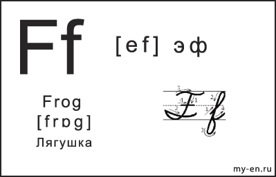 Карточка 14×9 см. Прописная, строчная и письменная буква - Ff