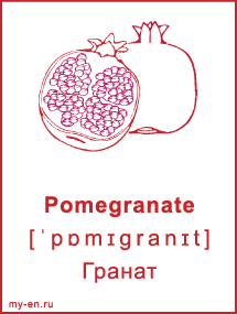 Карточка. Pomegranate - Гранат.
