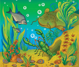 Речное дно, водоросли, плавают рыбы.