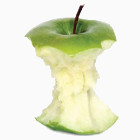 Огрызок от яблока по английски