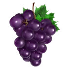 Виноград на английском