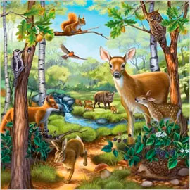 Косуля на фоне берез и лесного ручья, на стволе дуба сидит дятел, в дали летит орел, сова и белка сидят на ветке, по тропинке бежит заяц