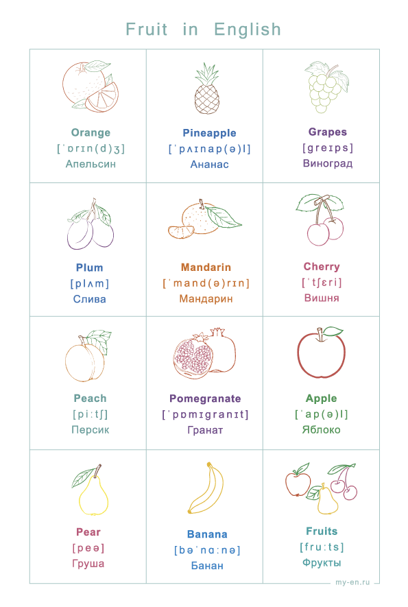 Плакат с названием и рисунками фруктов