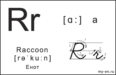 Карточка 14×9 см. Прописная, строчная и письменная буква - Rr