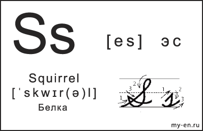 Карточка 14×9 см. Прописная, строчная и письменная буква - Ss