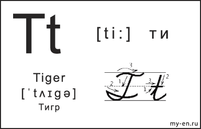 Карточка 14×9 см. Прописная, строчная и письменная буква - Tt