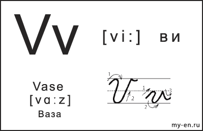 Карточка 14×9 см. Прописная, строчная и письменная буква - Vv