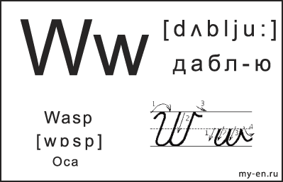 Карточка 14×9 см. Прописная, строчная и письменная буква - Ww