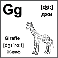 Черно-белая карточка 7×7 см., с картинкой. Буква - Gg. Жираф.