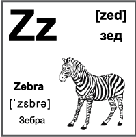 Черно-белая карточка 7×7 см., с картинкой. Буква - Zz. Зебра.