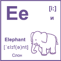 Карточка 7×7 см., с картинкой. Буква - Ee. Слон.