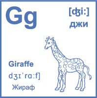 Карточка 7×7 см., с картинкой. Буква - Gg. Жираф.