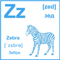 Карточка 7×7 см., с картинкой. Буква - Zz. Зебра.