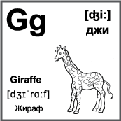Черно белая карточка 6×6 см., с картинкой. Буква - Gg. Жираф.