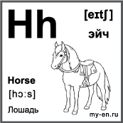 Черно белая карточка 6×6 см., с картинкой. Буква - Hh. Лошадь.