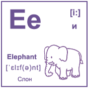 Карточка 6×6 см., с картинкой. Буква - Ee. Слон.