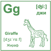 Карточка 6×6 см., с картинкой. Буква - Gg. Жираф.