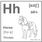 Карточка 6×6 см., с картинкой. Буква - Hh. Лошадь.