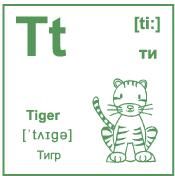 Карточка 6×6 см., с картинкой. Буква - Tt. Тигр.