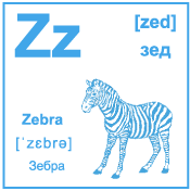 Карточка 6×6 см., с картинкой. Буква - Zz. Зебра.