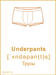Карточка «Одежда» - Underpants