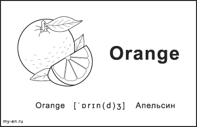 Черно-белая карточка с фруктами. Апельсин.