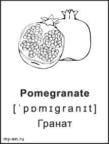 Черно-белая карточка. Pomegranate - Гранат.