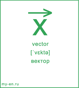 Карточка 9 на 10 см. Символ «vector» с транскрипцией и переводом на русский.
