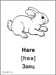 Черно-белая карточка «Животные». Заяц.