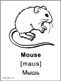 Черно-белая карточка «Животные». Мышь.