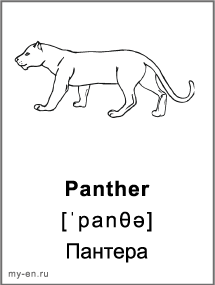 Черно-белая карточка «Животные». Пантера.