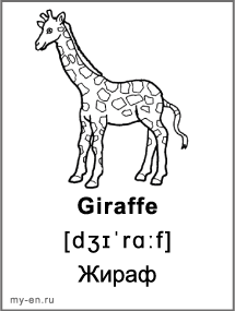 Черно-белая карточка «Животные». Жираф.