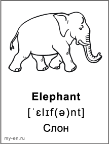 Черно-белая карточка «Животные». Слон.