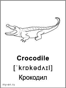 Черно-белая карточка «Животные». Крокодил.
