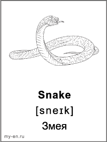 Черно-белая карточка «Животные». Змея.