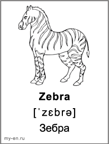 Черно-белая карточка «Животные». Зебра.