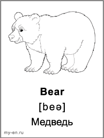 Черно-белая карточка «Животные». Медведь.