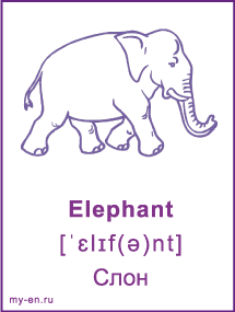 Карточка «Животные». Слон.