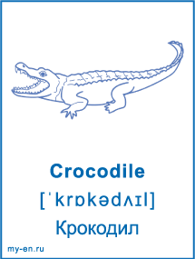 Карточка «Животные». Крокодил.