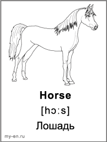 Черно-белая карточка - лошадь.