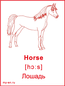 Карточка - лошадь.