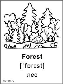 Карточка для черно-белой печати «Природа». Лес.
