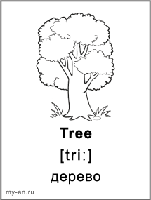 Карточка для черно-белой печати «Природа». Дерево.