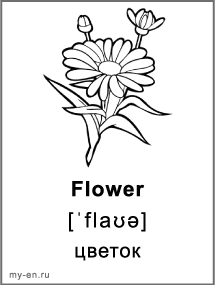 Карточка для черно-белой печати «Природа». Цветок.