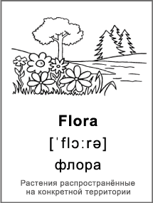 Карточка для черно-белой печати «Природа». Флора. Елки, дерево, цветы и трава.