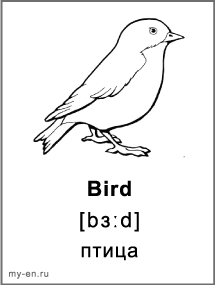 Карточка для черно-белой печати «Природа». Птица.